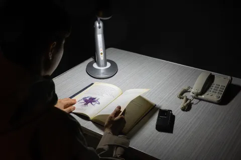 Exhibition view - The Security Guard's Desk and Asea Journal