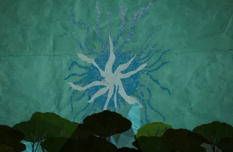The Dying Sun