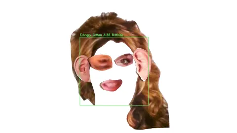 Face and object recognition of exquisite corpse.